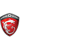 MSI